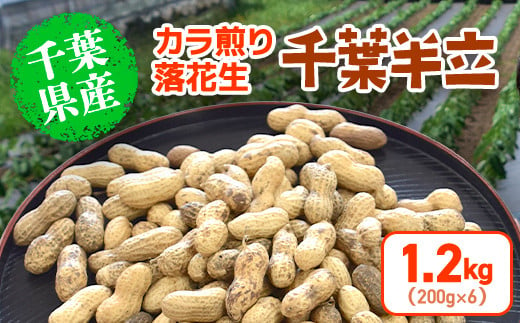 
【2024年12月発送開始】 千葉県産 カラ煎り落花生 千葉半立 1.2kg（200g×6） SMF005
