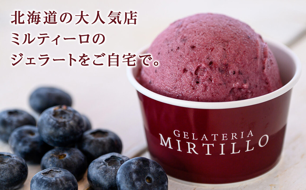【 定期便 ・隔月3回】ブルーベリー ジェラート 【12個セット】 ミルティーロ アイス アイスクリーム お菓子 菓子 食べ比べ ギフト 千歳 北海道