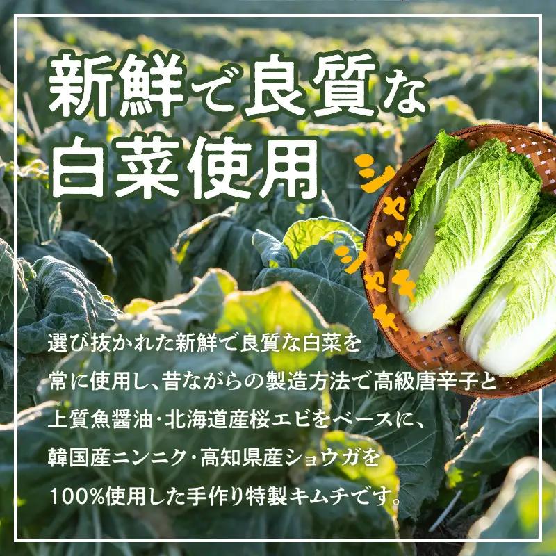 リピーター続出!! 白菜キムチ1.5kg
