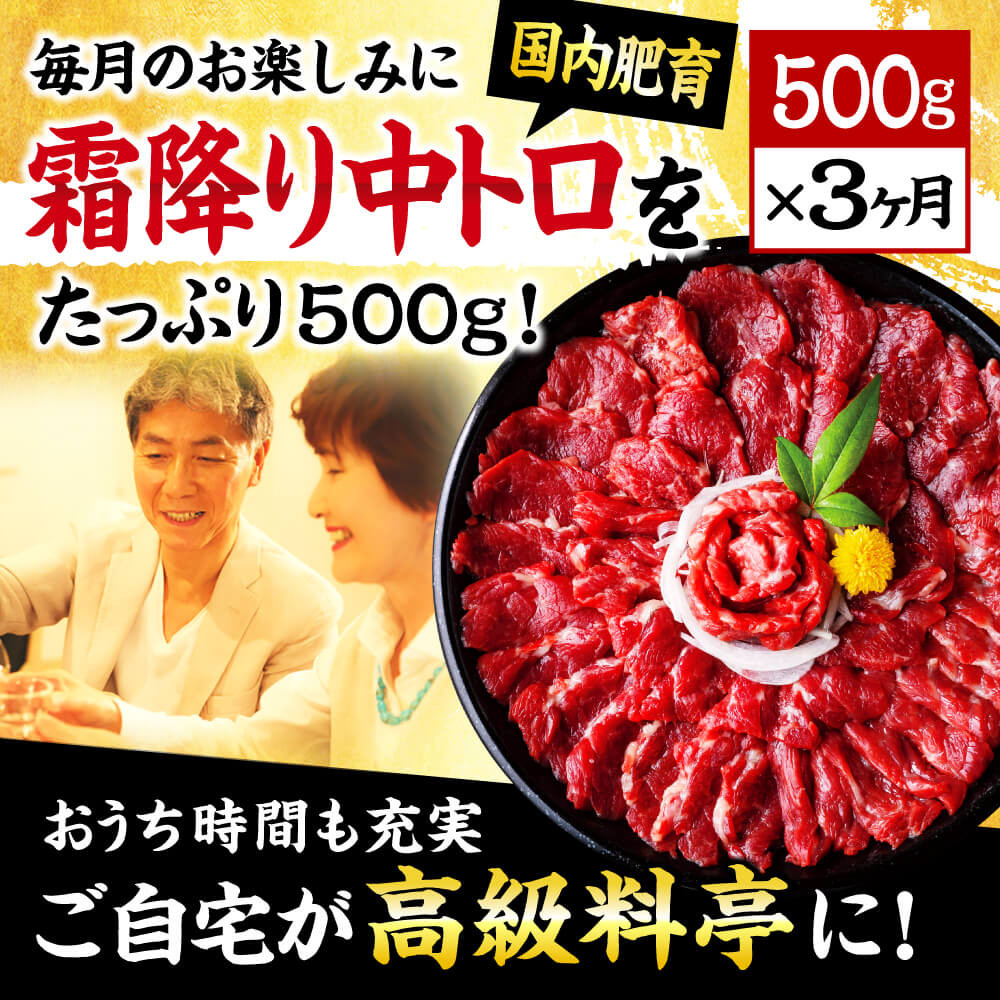 【3ヶ月定期便】熊本 馬刺し 霜降り たっぷり 500g 約50g×10パック