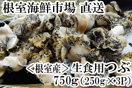 【北海道根室産】根室海鮮市場[直送]生食用灯台つぶ750g(250g×3P) A-28123
