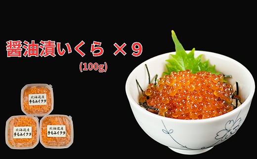 D-66019 【北海道根室産】醤油いくら100g×9P