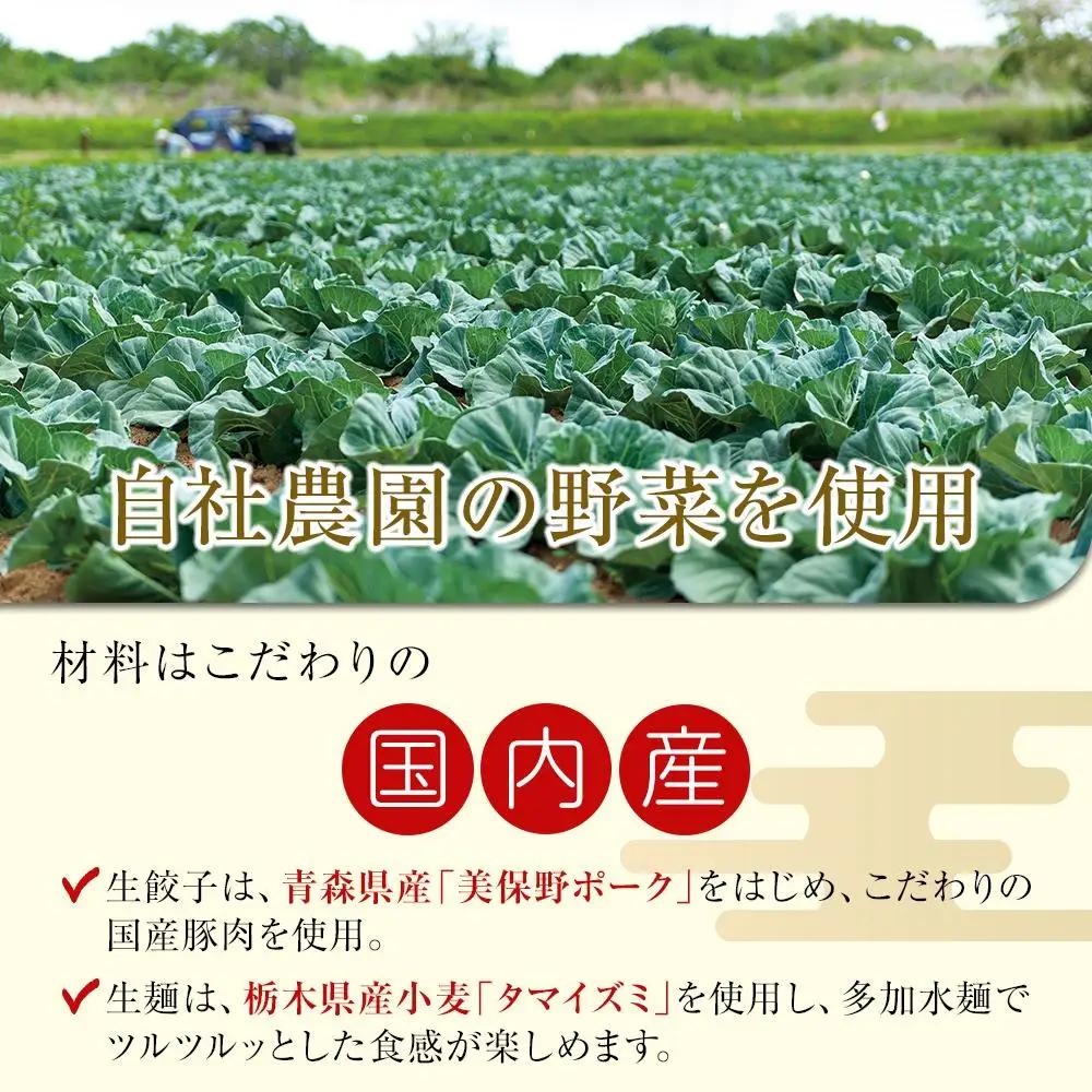 ぎょうざの満洲 冷凍生餃子とラーメン10人前セット