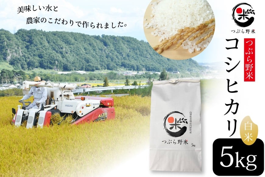 
            米 令和7年 新米予約 つぶら野米 コシヒカリ 白米 5kg [つぶら野米 山梨県 韮崎市 20743368] こめ コメ お米 精米 こしひかり
          
