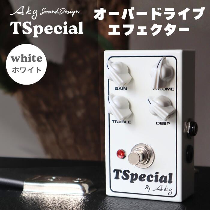 【ふるさと納税】 AKG SOUND DESIGN AKG工房 ギターエフェクター TSpecial ホワイト オーバードライブ スペシャル系 歪みペダル クリーンブースター対応 ティースペシャル 完全ハンドメイド 国産 ギター アンプ 送料無料 一関市
