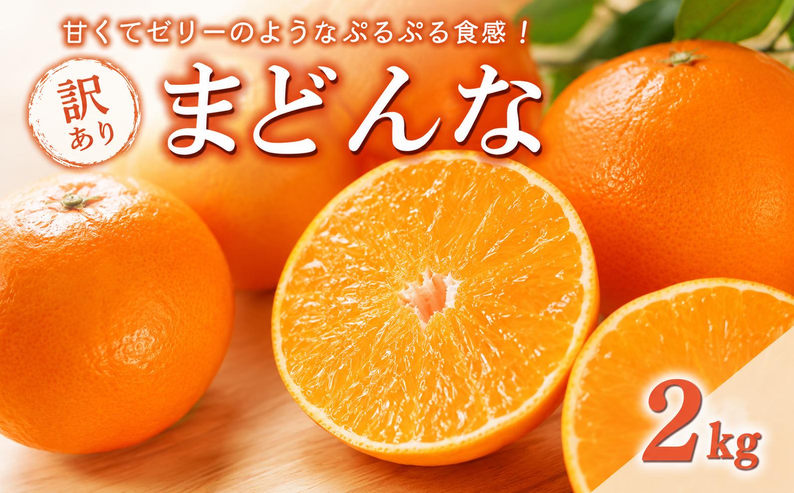
                  数量限定 先行予約 訳あり まどんな 2kg 8000円 madonna 愛果28号 高級 人気 ブランド プレミアム 産地直送 農家直送 愛媛 みかん mikan 蜜柑 ミカン 国産 期間限定 特産品 フルーツ 果物 柑橘 甘い おいしい ジューシー わけあり サイズミックス お取り寄せ 岡平農園 愛南町 愛媛県
                