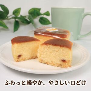 チーズケーキ ちーずっち 8個 スフレ チーズ ケーキ ケーキ ケーキ