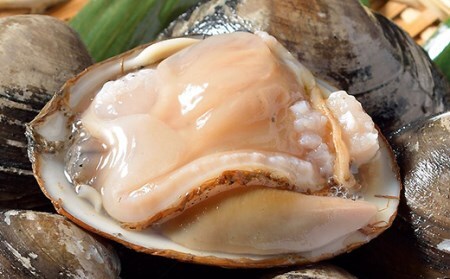 【活加工】剥きほっき（刺身用）1kg（20玉前後）×1袋  【6月上旬～11月上旬発送不可】 ほっき ほっき貝 ホッキ ホッキ貝 北寄 北寄貝