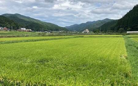 【令和7年産】【定期便6ヵ月】衣川の男米コシヒカリ 玄米 10kg（5kg×2袋）