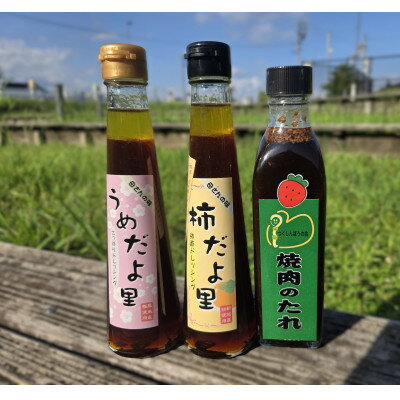 【ふるさと納税】手作りドレッシングと焼肉のたれ 計700ml【1665858】