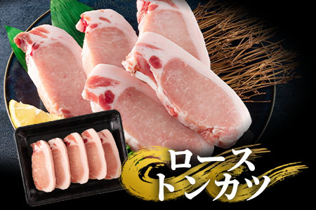 ＜宮崎県産豚のロースしゃぶしゃぶ 総量1.4kg しゃぶしゃぶ500g×1パック、ローストンカツ500g(5枚入)ヒレトンカツ400g×1パック＞しゃぶしゃぶとトンカツのセット【MI130-my】【ミ
