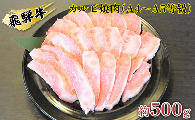 
[№5331-0055]飛騨牛カルビ焼肉（A4～A5等級）約500g（約250g×2パック）
