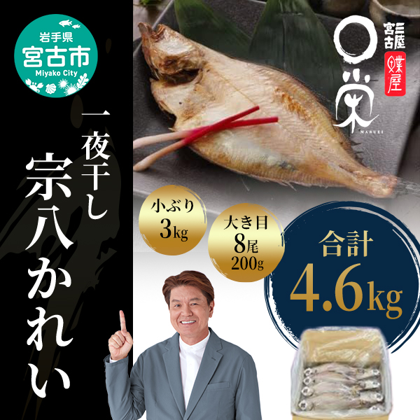 一夜干し 宗八かれい 4.6kg セット 詰め合わせ 大き目 8尾 小ぶり 3kg 干し魚 干物 ひもの カレイ 魚 魚介 魚介類 冷凍 岩手 岩手県 宮古市