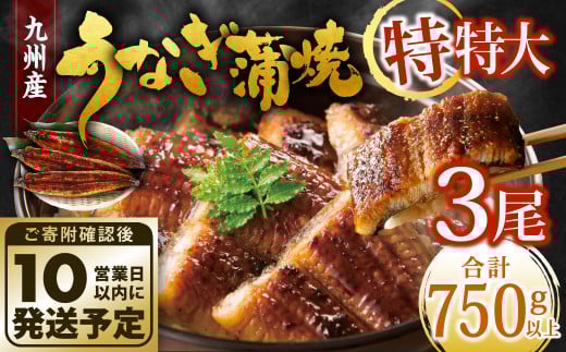 九州産 うなぎ蒲焼 特特大3尾 (1尾あたり250～266g) 合計750g以上【順次発送】