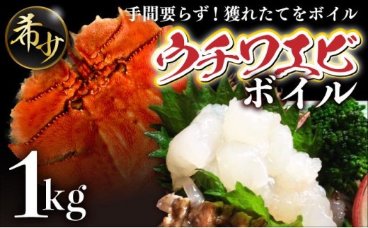 ウチワエビ（ボイル）10～14匹前後 1000gセット＜数量限定＞海老 えび 国産 東洋町産 セット ゆで 茹で うちわえび  新鮮 海鮮 高知県 東洋町 四国 お取り寄せ 送料無料 S247