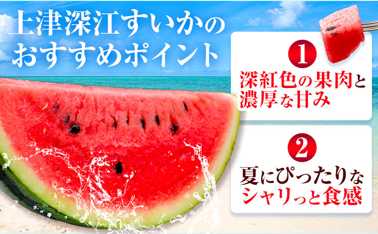 上津深江 大玉すいか 1玉 2L 3L《7月中旬-8月下旬頃出荷》熊本県 苓北町 スイカ 西瓜 大玉 フルーツ 果物 夏 旬 産地直送 夏ギフト くだもの 青果---reihoku_loc_825_1