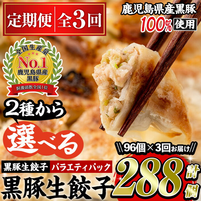 【ふるさと納税】＜定期便・全3回＞選べる2種！鹿児島黒豚使用の黒豚餃子(黒豚生餃子・バラエティー餃子/各種合計288個・12個入り×8パック×3回) 国産 九州産 ぎょうざ ギョウザ 冷凍 黒豚 豚肉 お肉 おかず 定期便 頒布会【末永商店】