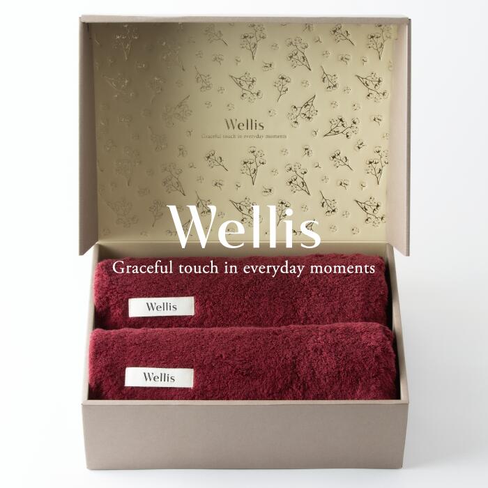 【ふるさと納税】Wellis【極上の肌心地】バスタオル2枚　ギフトセット　ボルドー（009_5040_04）