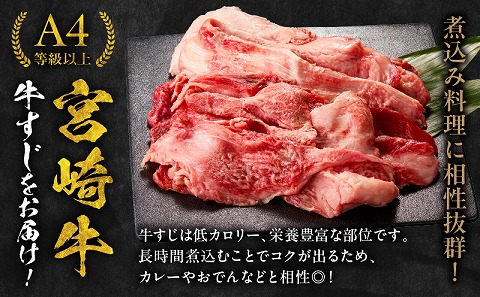 宮崎牛 牛すじ 1kg_M243-017_01