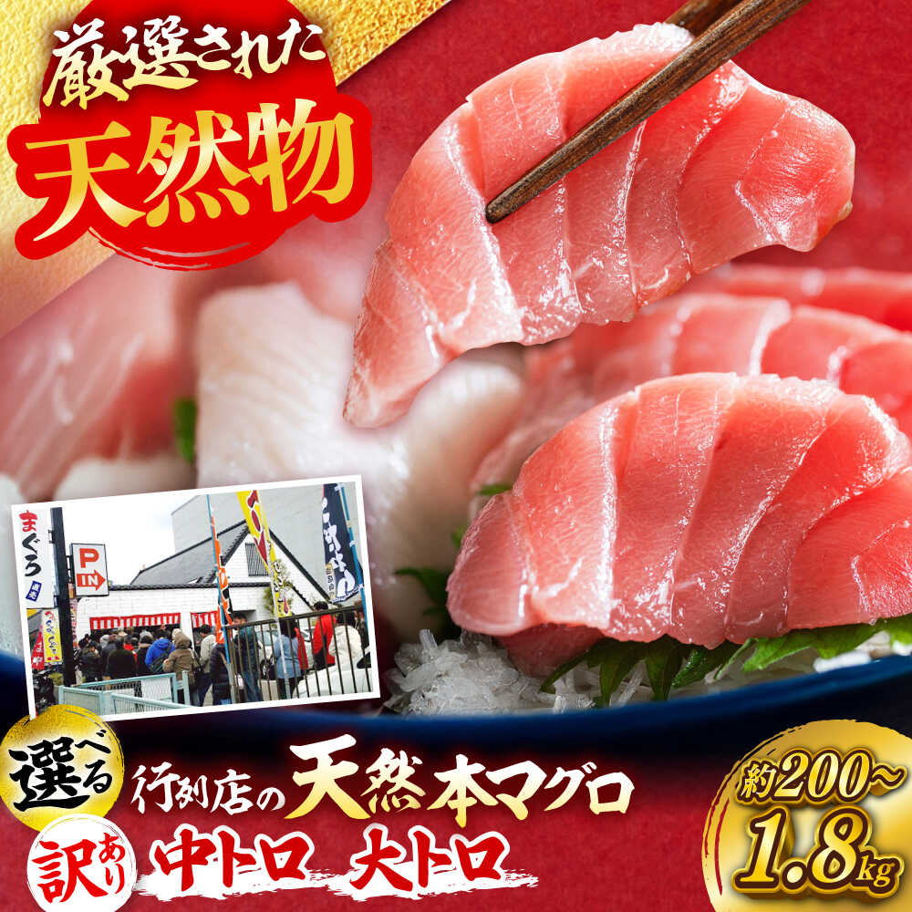 【ふるさと納税】【選べる内容量】天然 本まぐろ 大トロ・中トロ・訳あり 中トロ 計約200g/計約450g/計約900g/計約1.8kg【横須賀商工会議所 おもてなしギフト事務局（本まぐろ直売所 横須賀本店）】マグロ 鮪 刺身 柵 国産 冷凍 横須賀[AKAK086]
