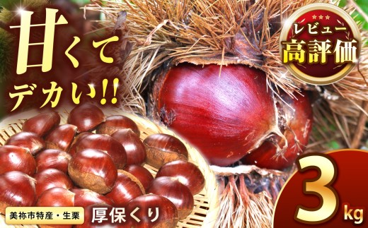 【先行予約】甘くて デカい ! 厚保くり ( 生栗 ) 3kg 山口美祢産 先行予約 ＜2026年10月上旬 ～ 11月中旬頃 に発送予定＞  ｜  山口 美祢 栗 くり 厚保 大きい 甘い 大玉 特産品 焼き栗 栗ご飯 生栗 期間限定 季節限定 先行予約 3kg
