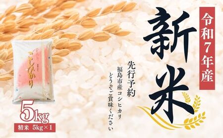 No.2382大文字屋米穀店【令和7年産新米】コシヒカリ精米 5kg