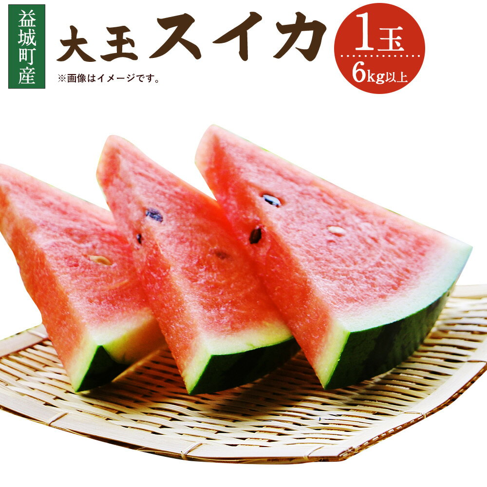 【ふるさと納税】スイカ大玉 6kg以上 1玉 すいか スイカ 野菜 フルーツ 果物 九州産 熊本産 益城町産 期間限定 数量限定 送料無料【2025年5月下旬～6月上旬に順次発送予定】
