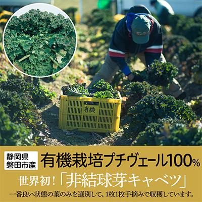 ふるさと納税 磐田市 【毎月定期便】野菜でカルシウム!青汁初心者にオススメ【無添加 プチヴェール(R)100%青汁】全3回 |  | 03