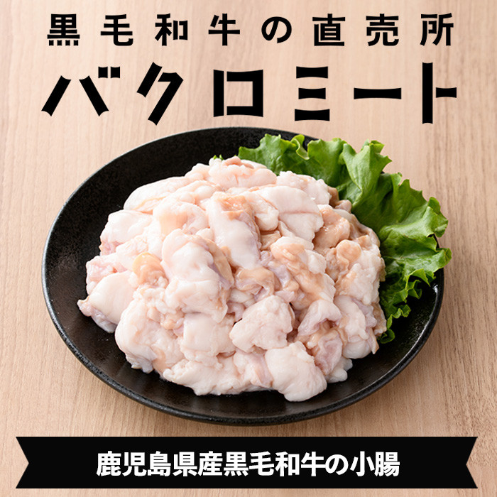 ≪数量限定≫鹿児島県産黒毛和牛の小腸 ホルモン(計700g) しょうちょう ホルモン もつ鍋 焼肉 鍋 焼肉用 焼き肉 バーベキュー 冷凍 牛肉 肉 もつ モツ 内臓 国産牛 モツ鍋 もつなべ 九州 
