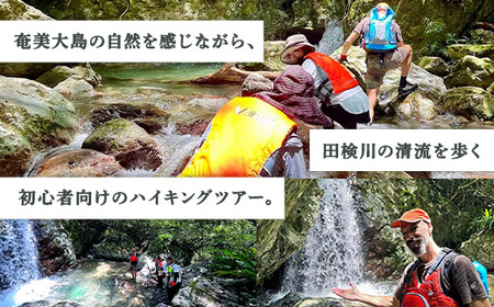 【ツアー可能期間：4月～10月】田検の隠れ滝ハイキング 体験 1名様 奄美大島 宇検村 鹿児島県 旅行 自然 冒険 完全プライベート