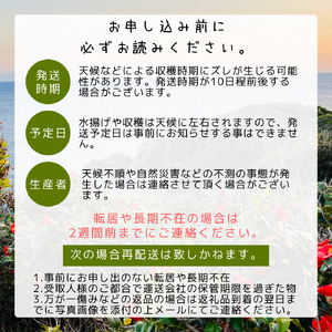 【ふるさと納税】【6回定期便】 数量限定 高知の旬を楽しむ 文旦 土佐文旦 柑橘類 フルーツ 初鰹 かつおたたき かつお 小夏 ドレッシング 米 新米 ミルキークイーン 干物 芋もち【J00073】