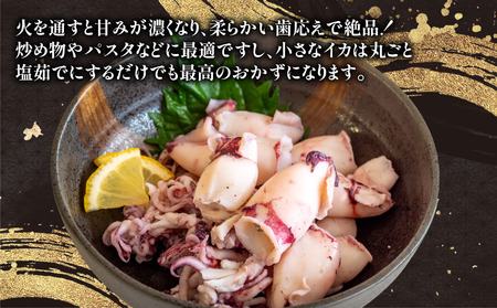 訳あり 小イカ ( アカイカ ヒイカ ) 約2.25kg(450gx5パック) 不揃い 小分け 冷凍 刺身 セリから直送 ケンサキイカ ジンドウイカ【配送不可地域：離島】 [uotarou004]