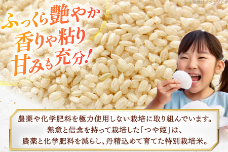 令和7年度 特別栽培米 つや姫 玄米 2kg [上和田有機米生産組合 山形県 高畠町 tk06ays640011]