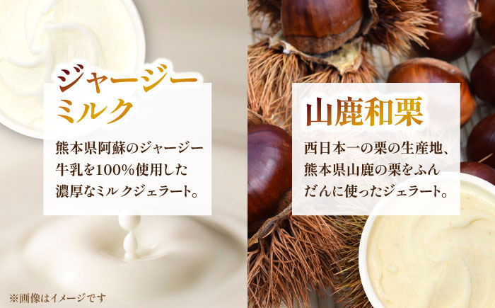 ジェラート 6個入り （ジャージーミルク、山鹿和栗、岳間抹茶、塩キャラメル、ショコラ、洒落柿クリームチーズ 各1個）　（各100ml） 【株式会社パストラル】 [ZAR001]