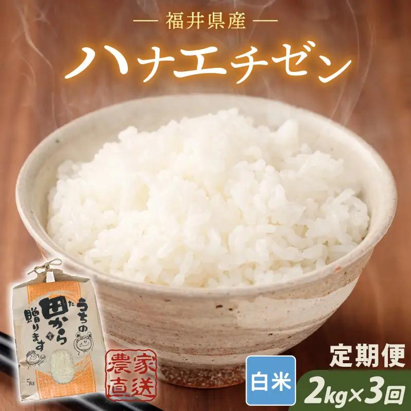 先行予約 定期便 3ヶ月連続お届け ハナエチゼン 2kg (1袋) × 3回 計6kg 白米 精米 ブランド米 2026年9月上旬以降順次発送予定 [A-8991]