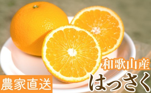 
                  ［先行予約］和歌山県産はっさく秀品 10kg（L ～ 2L）［2026年1月中旬以降より順次発送］
                