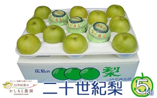 [№5895-0519]●先行予約●安芸高田市【かしもと農園】二十世紀梨 5kg