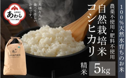 【令和6年産 新米】伊与衛門農園の自然栽培コシヒカリ精米 5kg  【福井県認証米】伊与衛門農園の特別栽培米＜温度と湿度を常時管理し新鮮米を出荷！＞ / 米 白米 自然の力 高品質 鮮度抜群 ブランド米 福井県 あわら市産 スマート農業