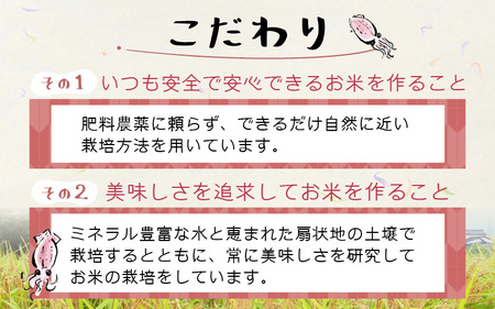 【訳あり】ほたるいか米（玄米５kg）×3回 計15kg【3ヶ月定期便】 