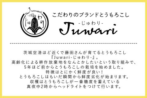 【数量限定 先行予約】＜2025年夏発送予定＞ 【3回定期便】【Juwari-じゅわり-】お楽しみとうもろこし 4kg以上 とうもろこし トウモロコシ 41-G