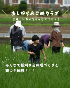 【体験日　10月11日・12月20日】　家族みんなで地域体験！あしがらおこめクラブ　秋のお米の収穫＆冬の餅つき・味噌づくり 体験チケット【 利用券 神奈川県 南足柄市 】