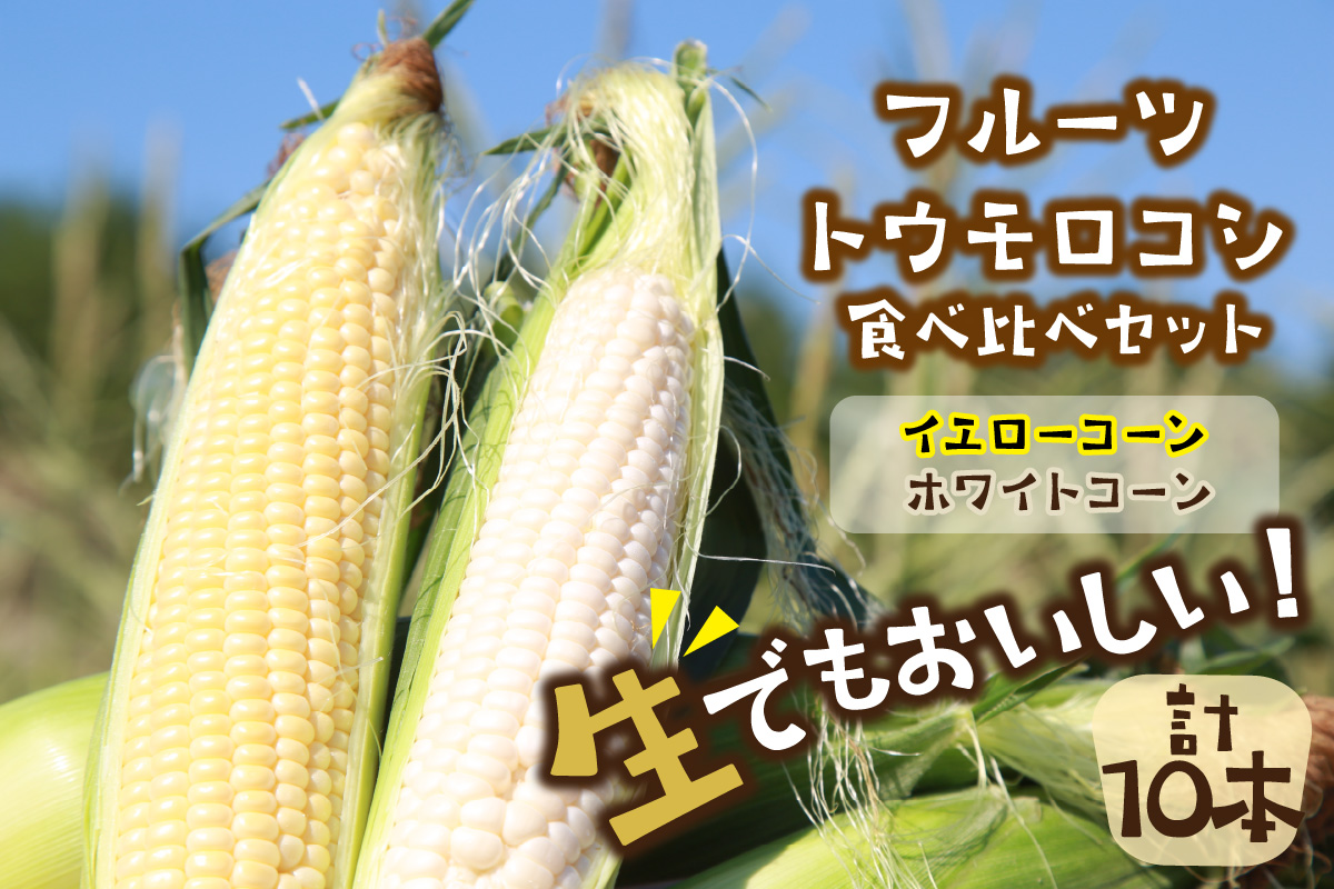 【先行予約】 生食も！高糖度！もぎたて！ フルーツトウモロコシ（ホワイトコーン＆イエローコーン計10本）食べ比べ京丹後セット（2025年6月下旬～発送）