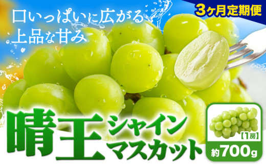 【3ヶ月定期便】ぶどう シャインマスカット 晴王 700g 1房 ハレノフルーツ(アストライ)《2025年7月上旬-9月末頃出荷》岡山県 浅口市 送料無料 フルーツ 果物 マスカット お取り寄せフルーツ【配送不可地域あり】 st-p