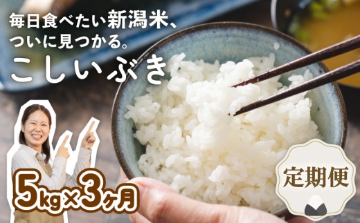 【定期便】 令和7年産 新潟県産こしいぶき 5㎏×3か月 新潟県 新潟産 新潟米 新発田産 新発田 お米 米 こしいぶき とんとん市場 せいだ 5kg 15kg 3か月 定期便 数量限定 玄米 とんとん市場のお米 D58_04