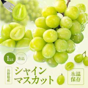 氷温貯蔵 長野県産 シャインマスカット 約1kg 秀品 〈2026年11月上旬～12月下旬発送〉| 長野県 飯田市