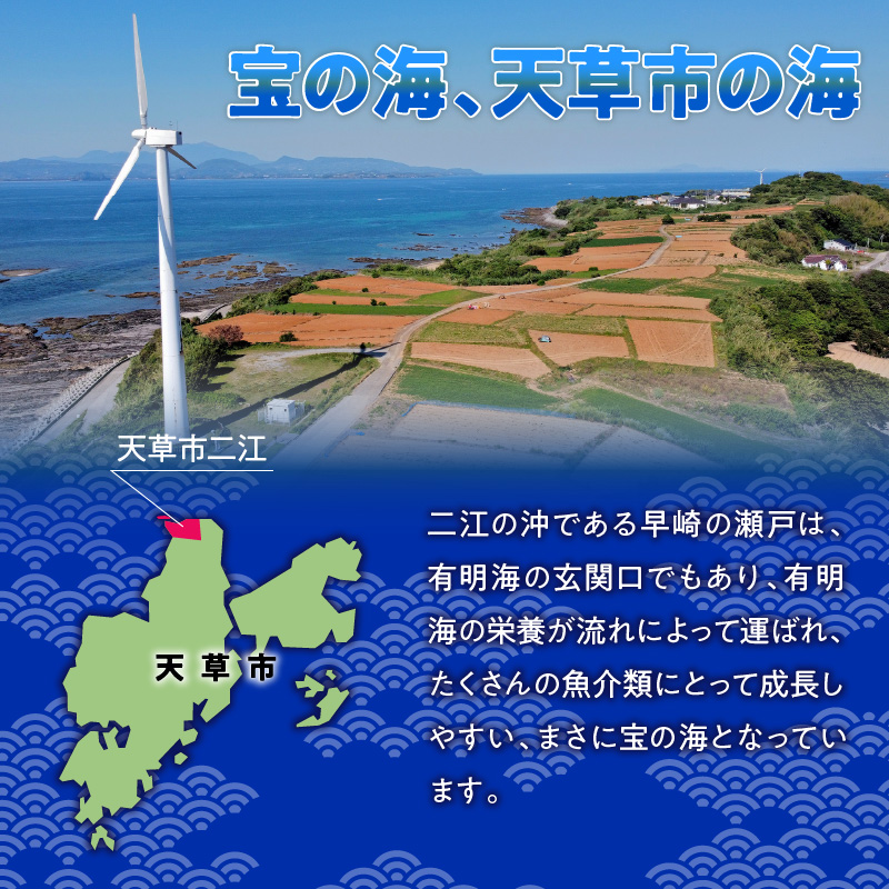 S157-011_天草二江の天然紫うに 80g 80g