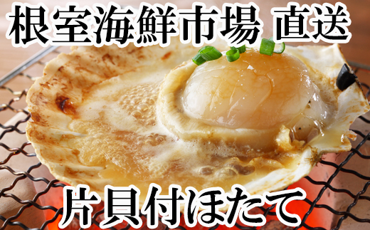 A-11121 ＼漁業者応援品／片貝ほたて10～13枚×2袋