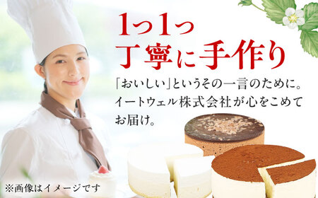 【全12回定期便】訳ありケーキ3種類セット（レアチーズ・ショコラムース・ティラミス） 広川町 / イートウェル株式会社[AFAK030]