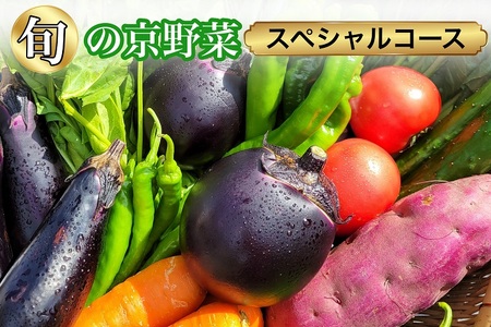 旬の京野菜 スペシャルコース※沖縄・離島・諸島へのお届け不可 ≪京都 丹波 野菜 野菜詰め合わせ 野菜セット 厳選野菜 旬野菜≫