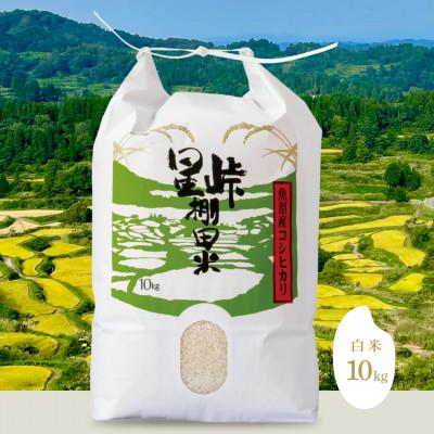 ふるさと納税 十日町市 食べることで守る日本の原風景!「星峠棚田米」 10kg(精米)越後まつだい 魚沼産コシヒカリ